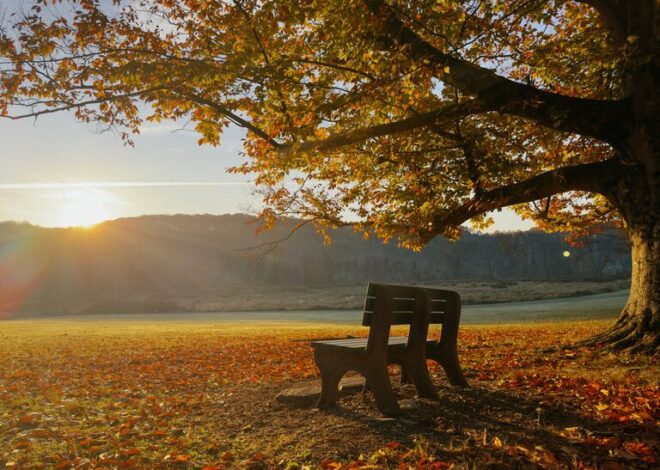 Mindful Breaks You Can Take in Five Minutes
